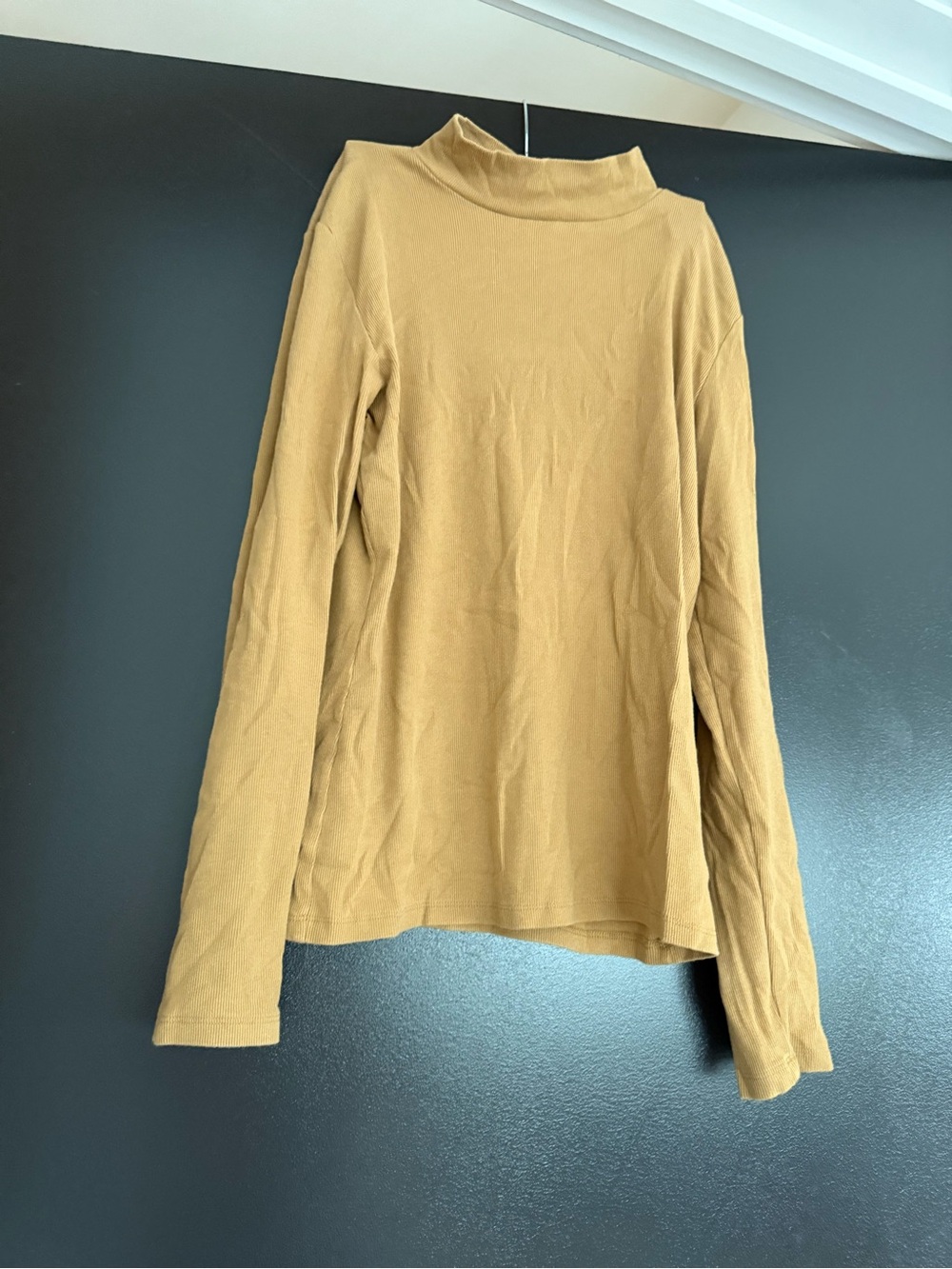Banana Republic Factory Women's Mustard Mock Neck Long Sleeve Top